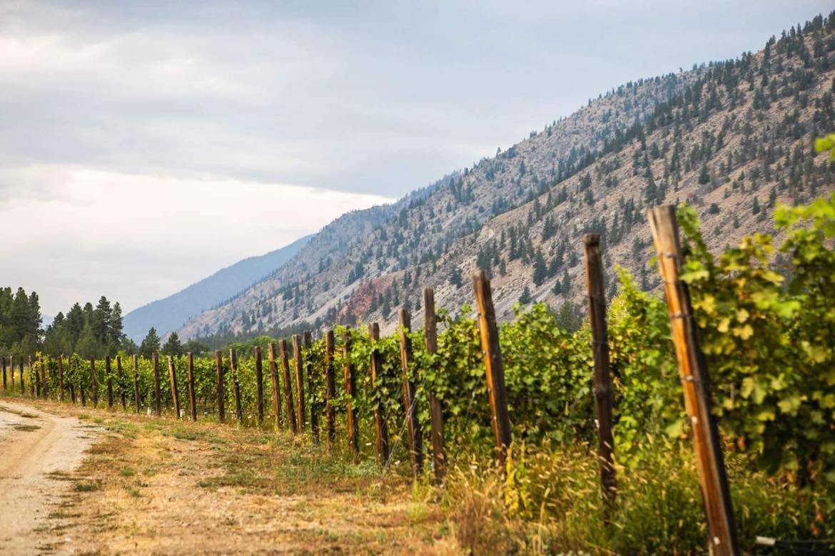 Similkameen Wild Resort & Winery Retreat Osoyoos Dış mekan fotoğraf